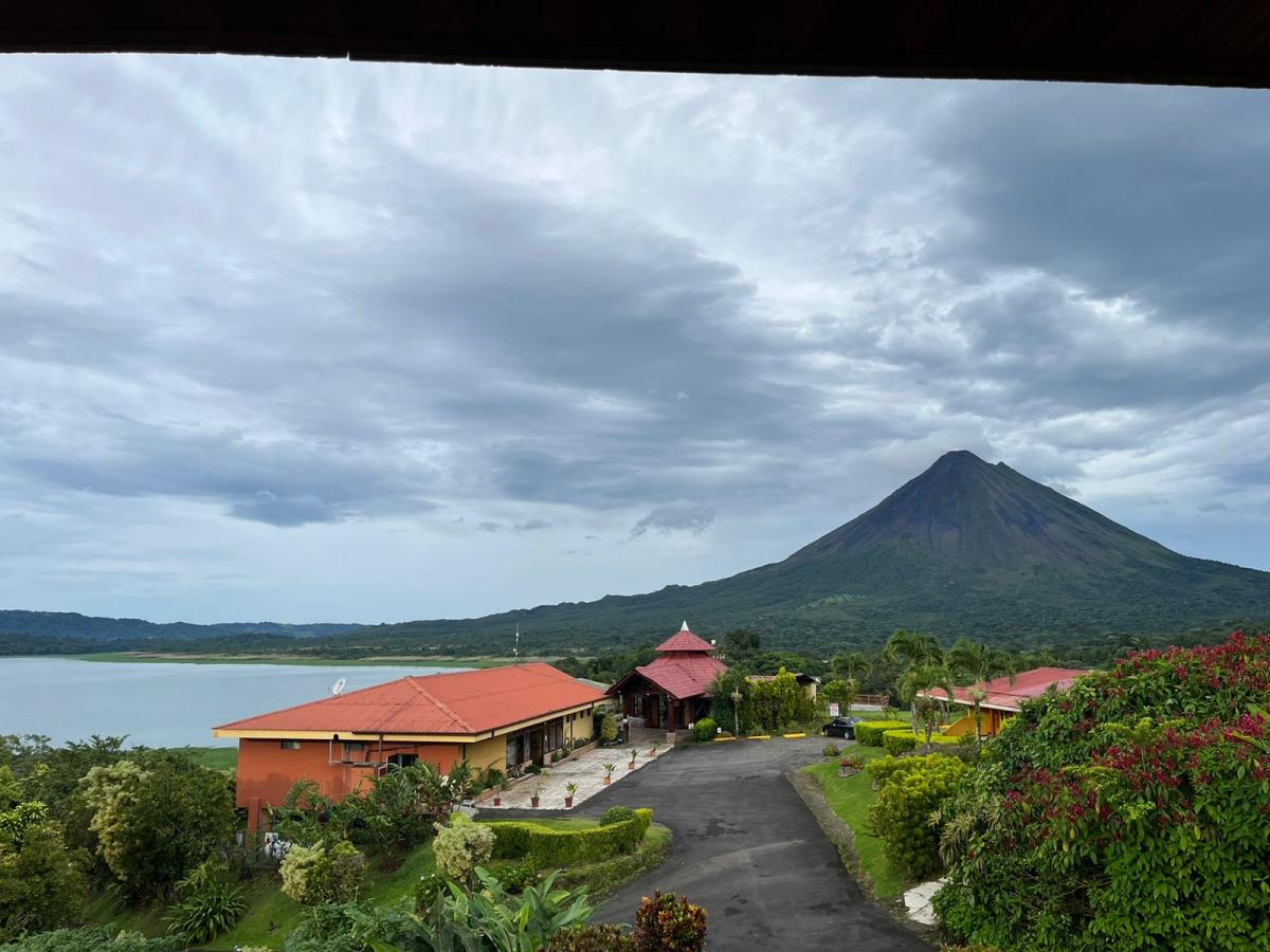 Gallery room view