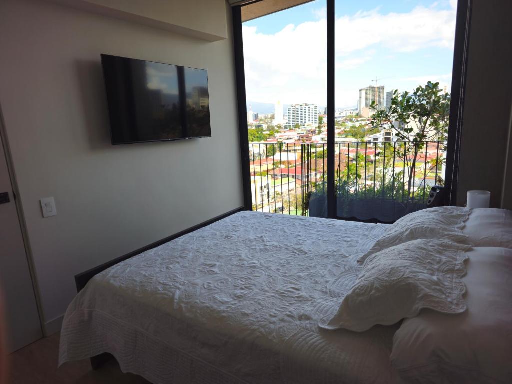 Gallery room view