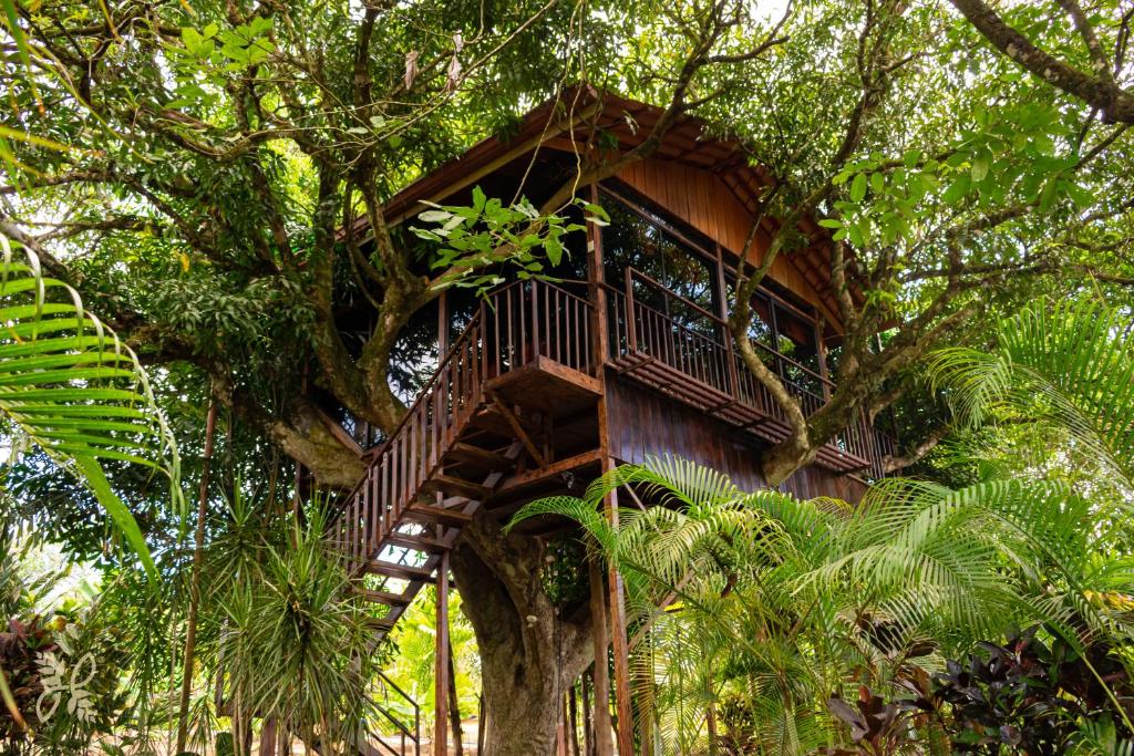 Hotel Heliconias Nature Inn & Hot Springs